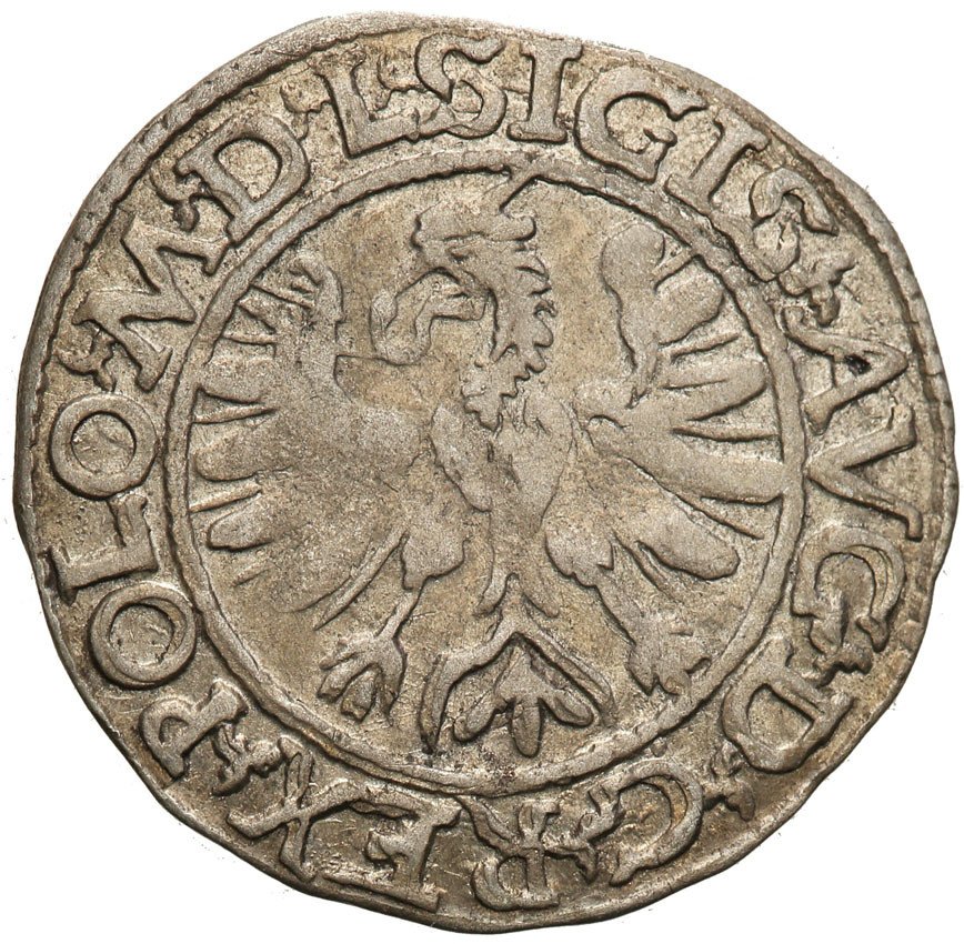 Zygmunt II August, półgrosz 1566, Tykocin (R5)
